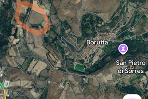 Terreno seminativo Borutta