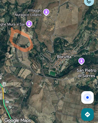 Terreno seminativo Borutta