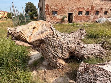 Legna da ardere