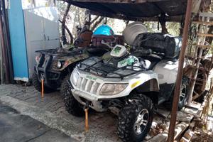 artic cat thundercat 1000 4x4