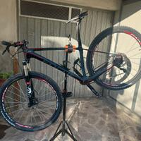 MTB FOCUS RAVEN 29