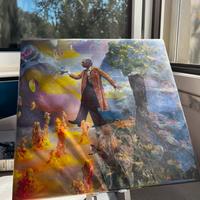 Vinile Magica Musica di Venerus