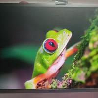 Monitor 4K UHD Samsung 28'' Quantum Dot