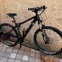 Mountain Bike carbonio