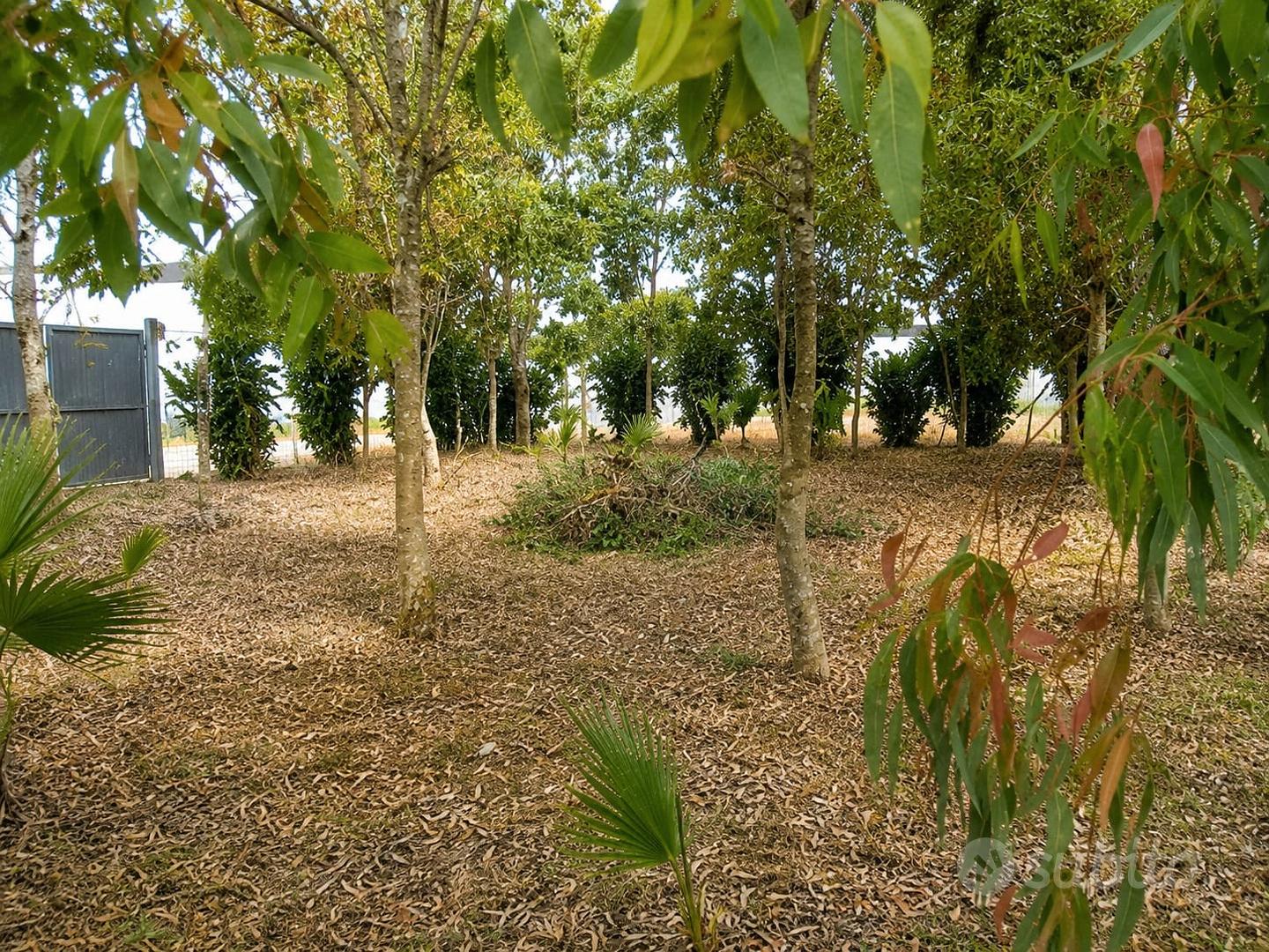 Terreno recintato a Porto Cesareo - Altro