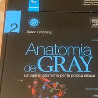 anatomia del Gray