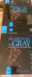 anatomia del Gray