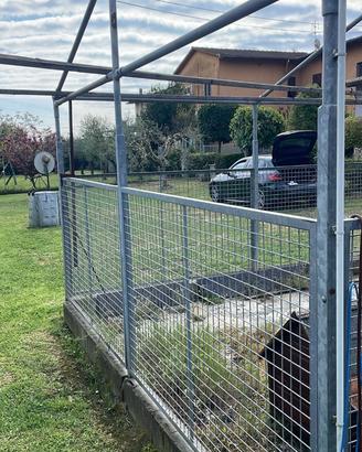 Box per cani
