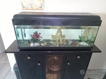Acquario 