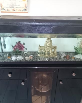 Acquario 