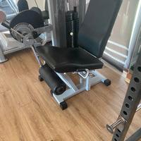 Leg Extension Silver Technogym