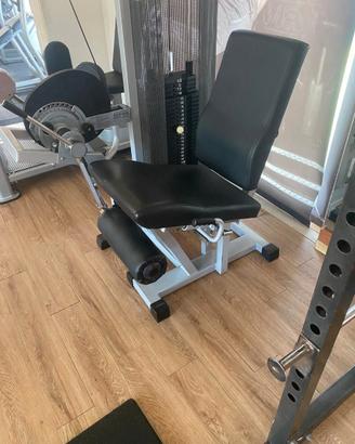 Leg Extension Silver Technogym