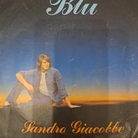 vinile 45 giri