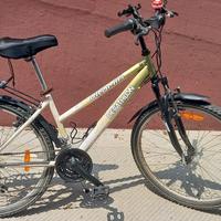 Mountain bike taglia 26