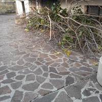 Legna da ardere
