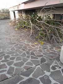 Legna da ardere