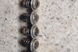 termostato evinrude etec 