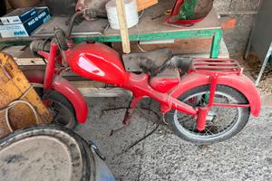 Motom
