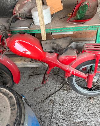Motom