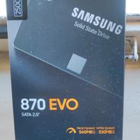 hard disk sad Samsung 870 Evo