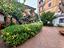 Immagine 15