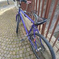 City bike perfetta 