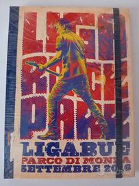 Ligabue al parco di Monza Settembre 2016