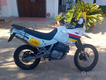 HONDA DOMINATOR