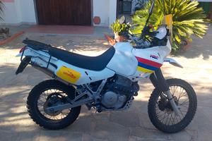 HONDA DOMINATOR