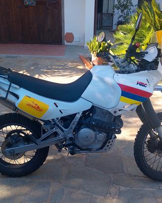 HONDA DOMINATOR