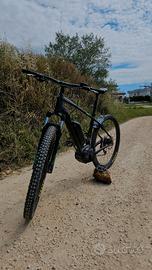 e-bike trek pawerfly 4 