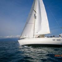 Grand soleil 34