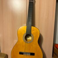 Chitarra classica e acustica Eco