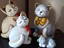 Immagine 1