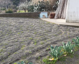 Terreno agricolo di 900 mq