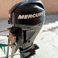 Ricambi per mercury 40 cv efi