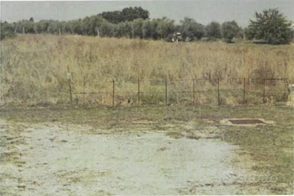 Immobile in asta di 2973 m² a Sant'Egidio alla Vib - Vista 2