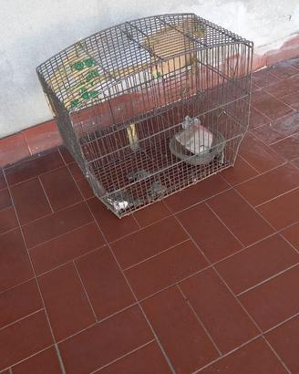 MINI GABBIA IN FERRO PER CANARINI E UCCELLINI