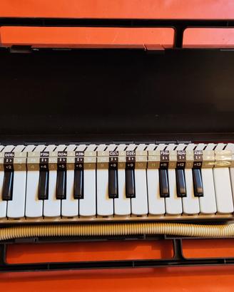 Diamonica Bontempi vintage con custodia