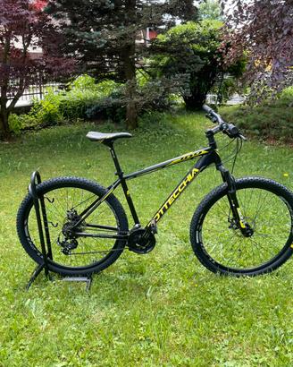 Bottecchia Sport Concept FX 109 29” - 2021