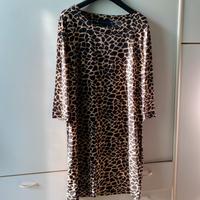 Tunica maculata Koan