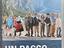Immagine 1