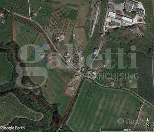 Terreno Agricolo Gallese [cod. rif5962556VCG]