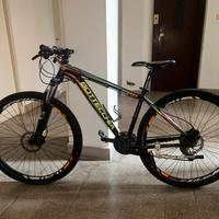 Bottecchia fx116