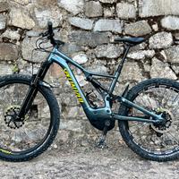 Turbo Levo 2019 L