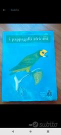 I pappagalli africani