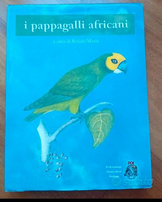 I pappagalli africani