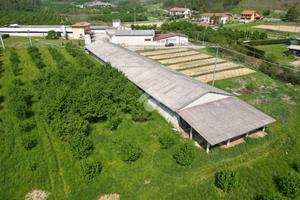CAPANNONE A CORNELIANO D'ALBA