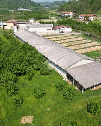 CAPANNONE A CORNELIANO D'ALBA