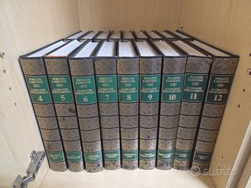 21 volumi enciclopedia Peruzzo Larousse